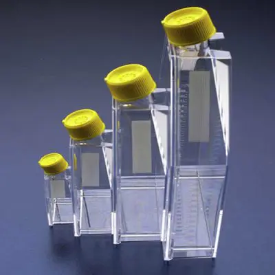 frasco-para-cultivo-de-celulas-com-tampa-ventsem-filtro-tpp-botulab-equipamentos-e-produtos-para-laboratorios