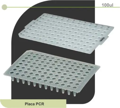 Placa para PCR 100ul