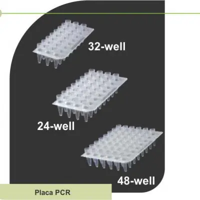 Placa para PCR - 24-C - Axygen