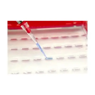Agarose Padrão - Frasco 500 Gramas K9-9500 | Kasvi