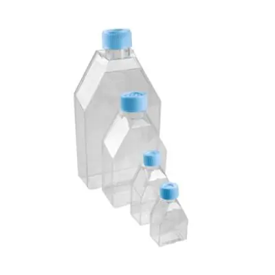Frasco para Cultura de Células 250ml Tampa Plug (sem Filtro) | Kasvi