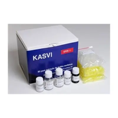 Kit de Extração de Dna Mini Spin 250 Extrações K9-0250 | Kasvi