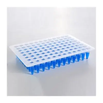 Microplaca Qpcr Sem Borda 96 Poços Regular Profile | Kasvi