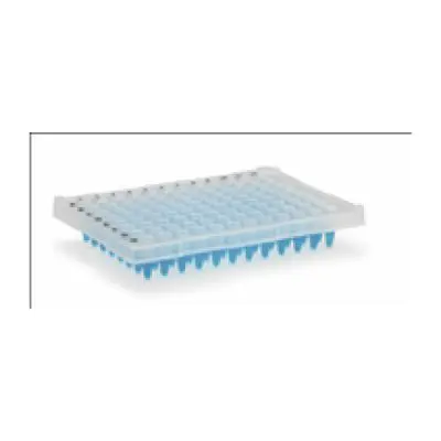 Microplaca de Pcr Sem Borda 96 Poços Transparente | Kasvi