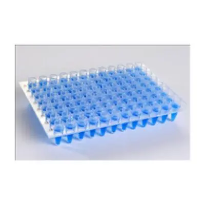 Microplaca de Pcr Sem Borda com Poços Elevados Transparente | Kasvi