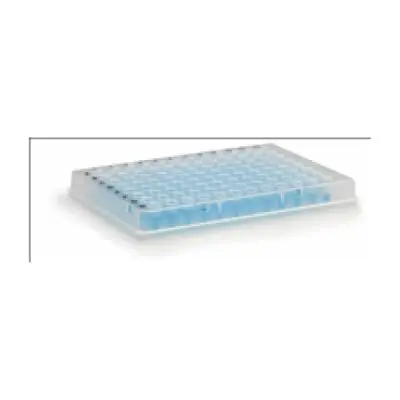 Microplaca de Pcr com Borda 96 Poços Transparente | Kasvi
