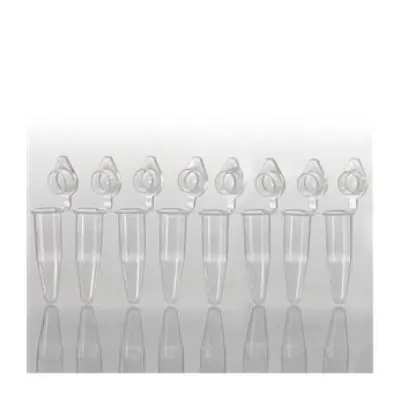 Microtubo Pcr 200µl em Tiras 8x Tampa Domed Anexada Transparente | Kasvi