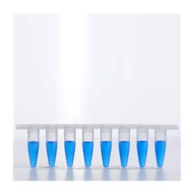 Microtubo Qpcr em Tiras 8 X 0,2ml. Low Profile | Kasvi