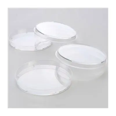 Placa de Petri para Cultivo de Células Diâmetro 60mm | Kasvi