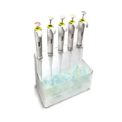 Suporte para Micropipetas Basic 5 Lugares | Kasvi