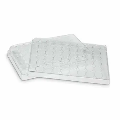 Placa para Cultivo de Células - 48 Poços - Volume de Trabalho por Poço 0,19-0,29 mL - Fundo 'Chato' - Modelo K12-048 | Kasvi