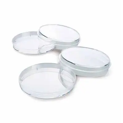 Placa de Petri em Poliestireno para Cultivo de Células - Diâmetro 150mm - Caixa com 5 Unidades - Modelo K13-0150 | Kasvi