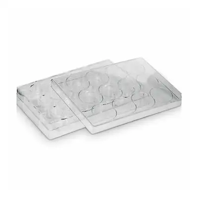 Placa para Cultivo de Células - 12 Poços - Volume de Trabalho por Poço 0,76 - 1,14 mL - Fundo 'Chato' - Modelo K12-012 | Kasvi