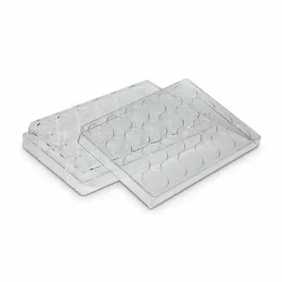 Placa para Cultivo de Células - 24 Poços - Volume de Trabalho por Poço 0,38 - 0,57mL - Fundo 'Chato' - Modelo K12-024 | Kasvi