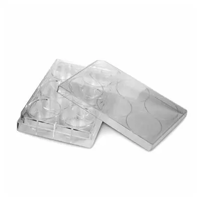 Placa para Cultivo de Células - 6 Poços - Volume de Trabalho por Poço 1,90 - 2,90 mL - Fundo 'Chato' - Modelo K12-006 | Kasvi